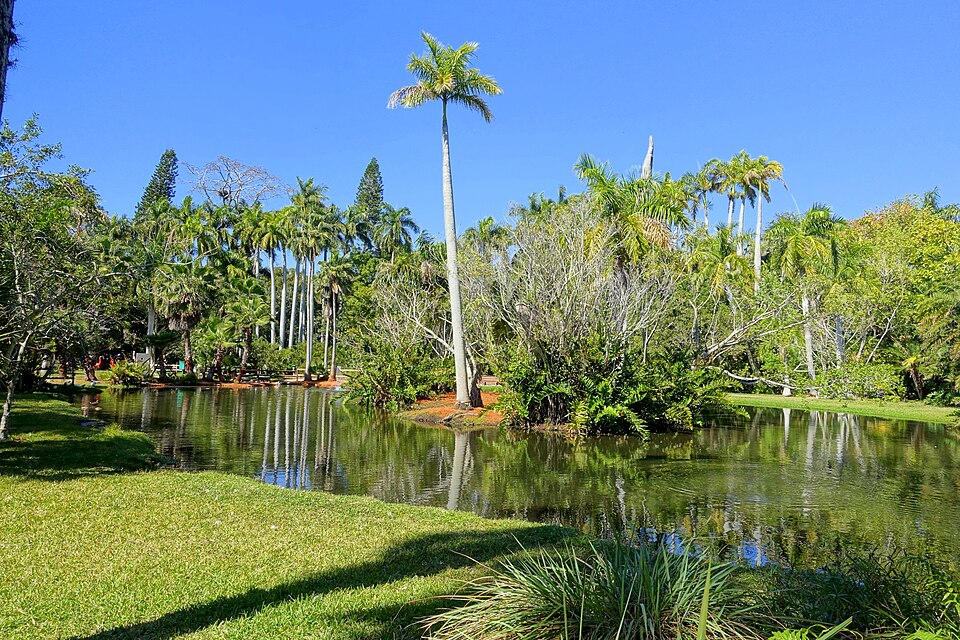 Environmental Protection